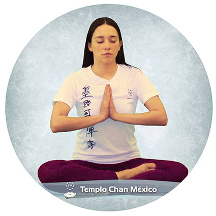 Nuestras clases de Yoga Foto propiedad del Templo Chan México